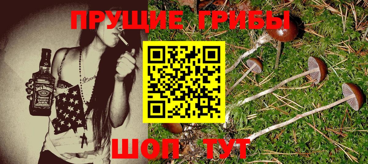Псилоцибиновые грибы MAGIC MUSHROOMS  Вход с VPN  Чебоксары 